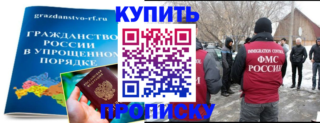 временная регистрация поиск в Курской области